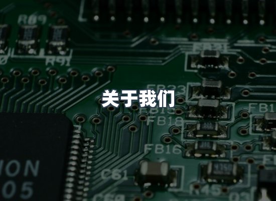 专业团队